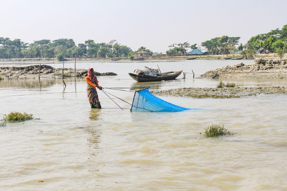 আন্তর্জাতিক ম্যানগ্রোভ ইকোসিস্টেম সংরক্ষণ দিবস