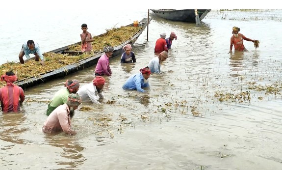 CLIMATE ADAPTATION AND FOOD SECURITY